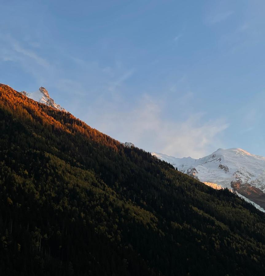 Apartamento Center & Unique Mountain View Chamonix Mont Blanc Exterior foto